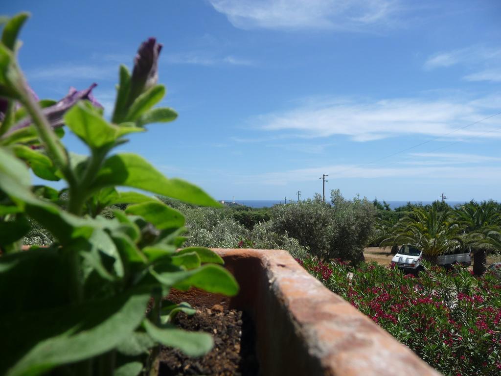 Agriturismo Serine Santa Maria di Leuca Exterior foto